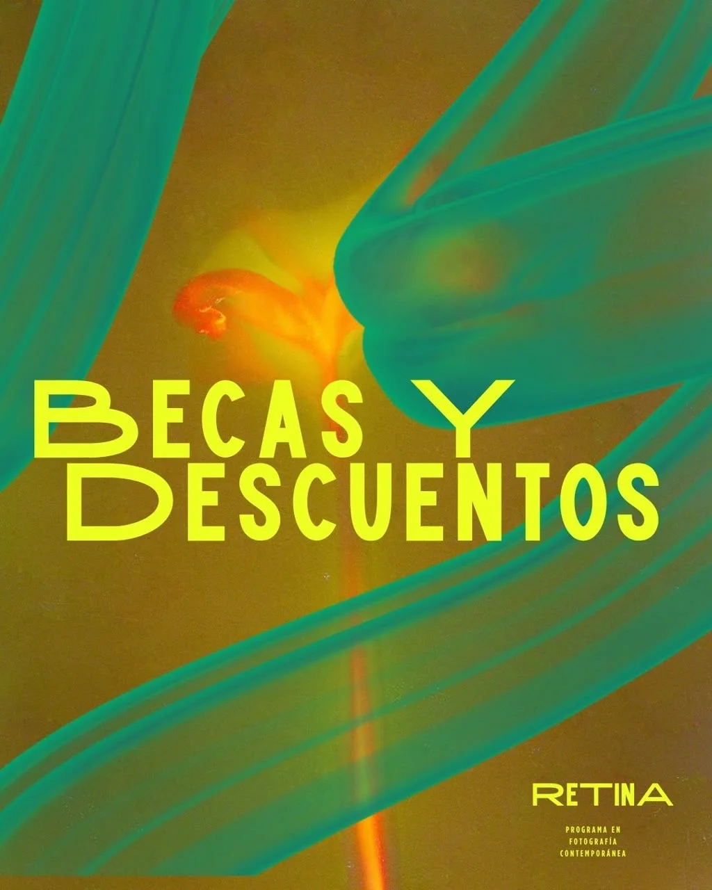 Becas y descuentos — Retina, programa en fotografía contemporánea