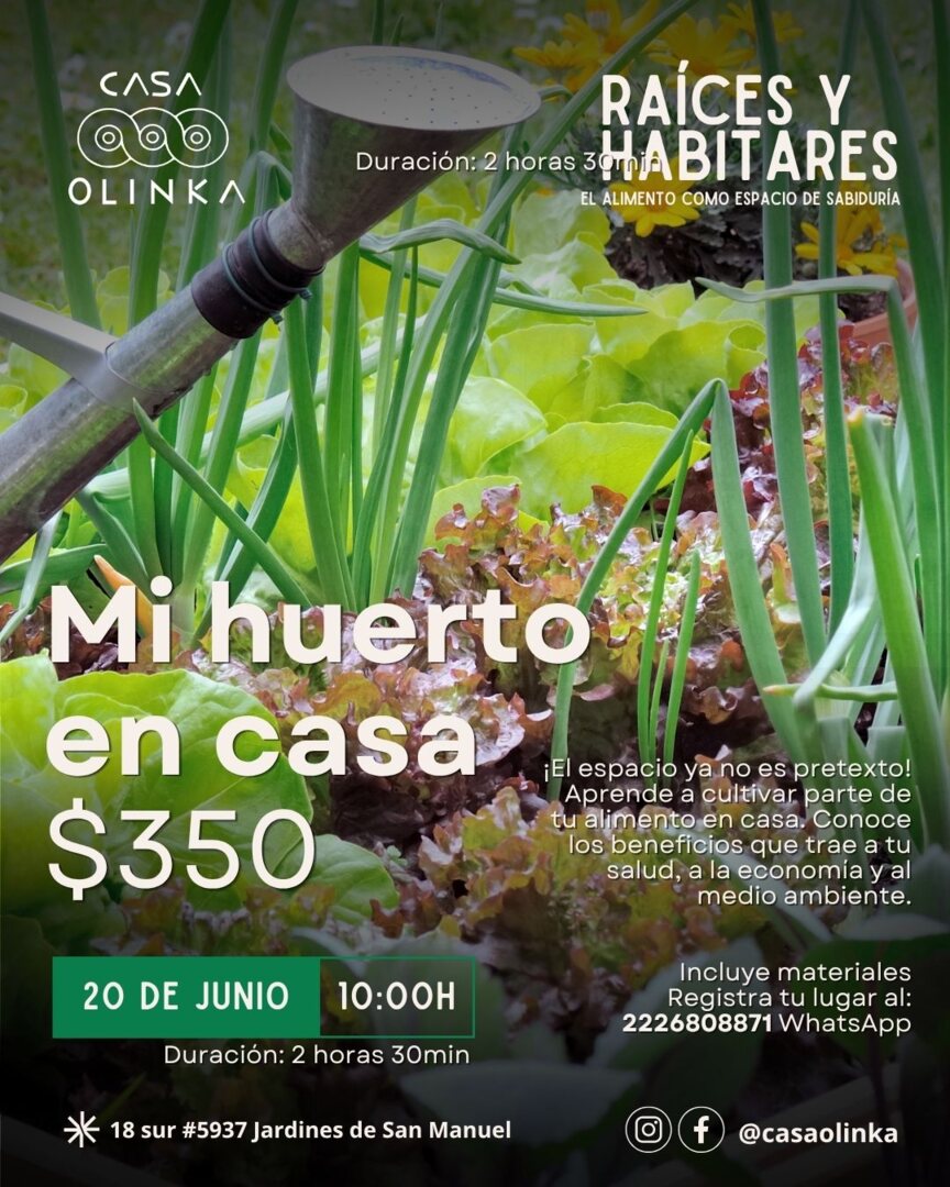 Raíces y Habitares — Talleres de huerto